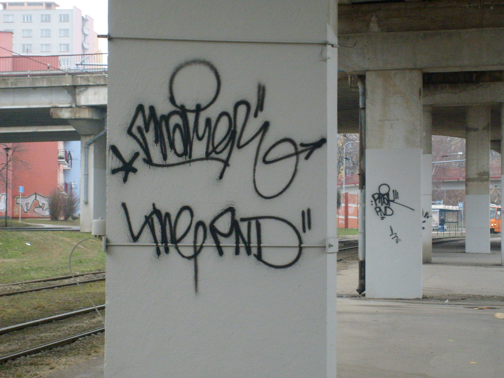 S6300453.JPG